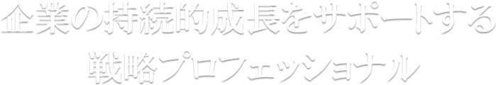 企業の持続的成長をサポートする 戦略プロフェッショナル